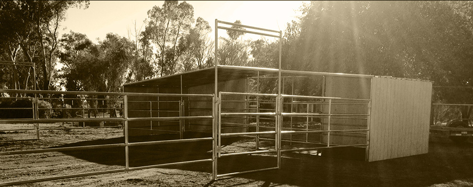 Long Run Ranch horse shelter and pen