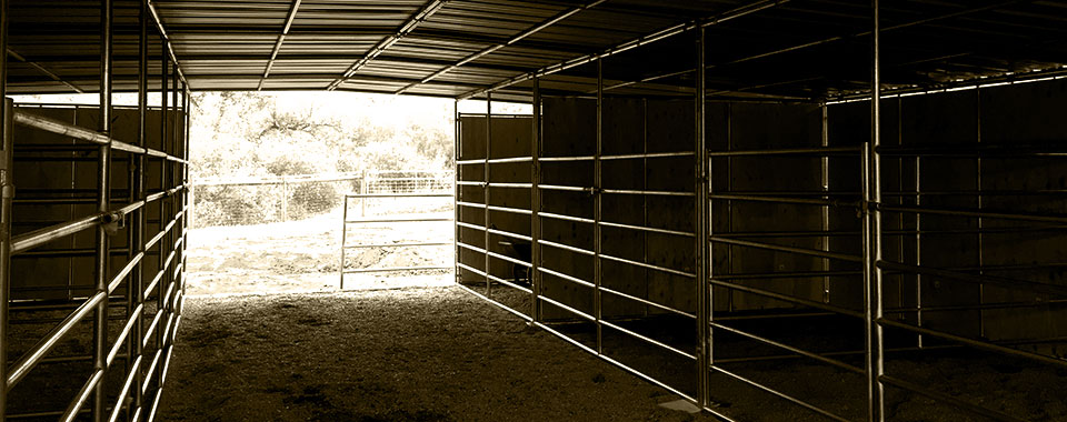 Inside view of large, multi-section Long Run Ranch horse shelter